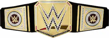 Cinturón WWE Barato opción 2