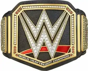 Cinturón WWE Barato opción 1