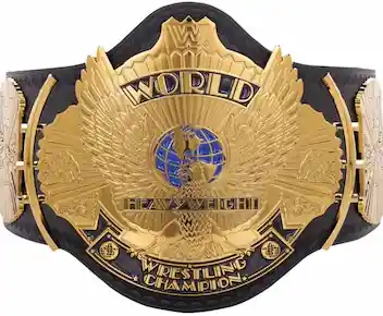 Cinturón WWE Barato opción 2