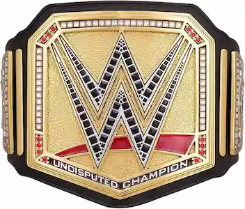 Cinturón WWE Barato opción 4
