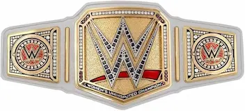Cinturon-WWE-Tamano-Real-Actual 8
